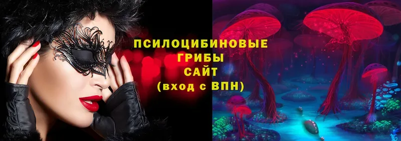 наркошоп  Новокузнецк  МЕГА онион  Галлюциногенные грибы Psilocybine cubensis 